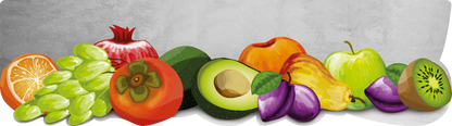 WELCOMAT Passatoia Cucina (Frutta)